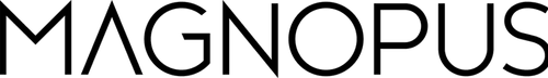 Magnopus